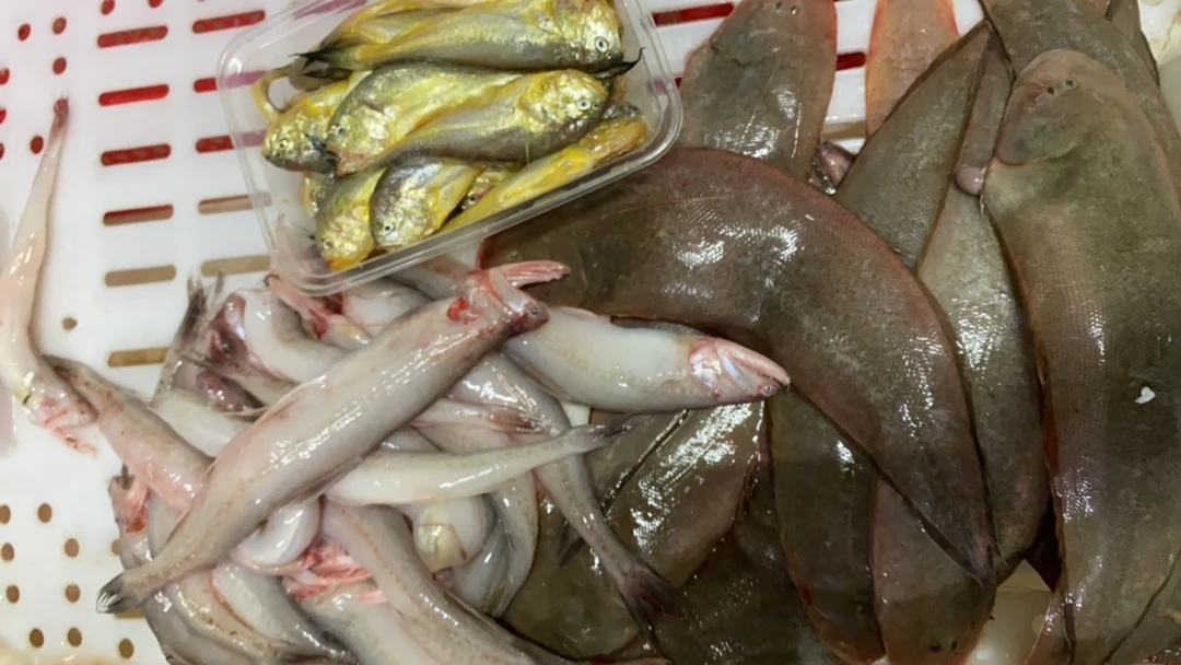 家庭版套餐渔光之城