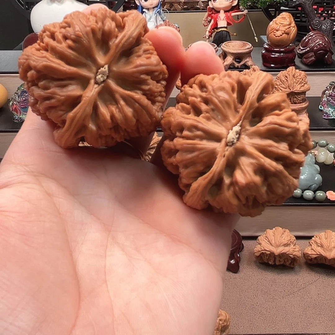 一***花核桃48全品大粗筋