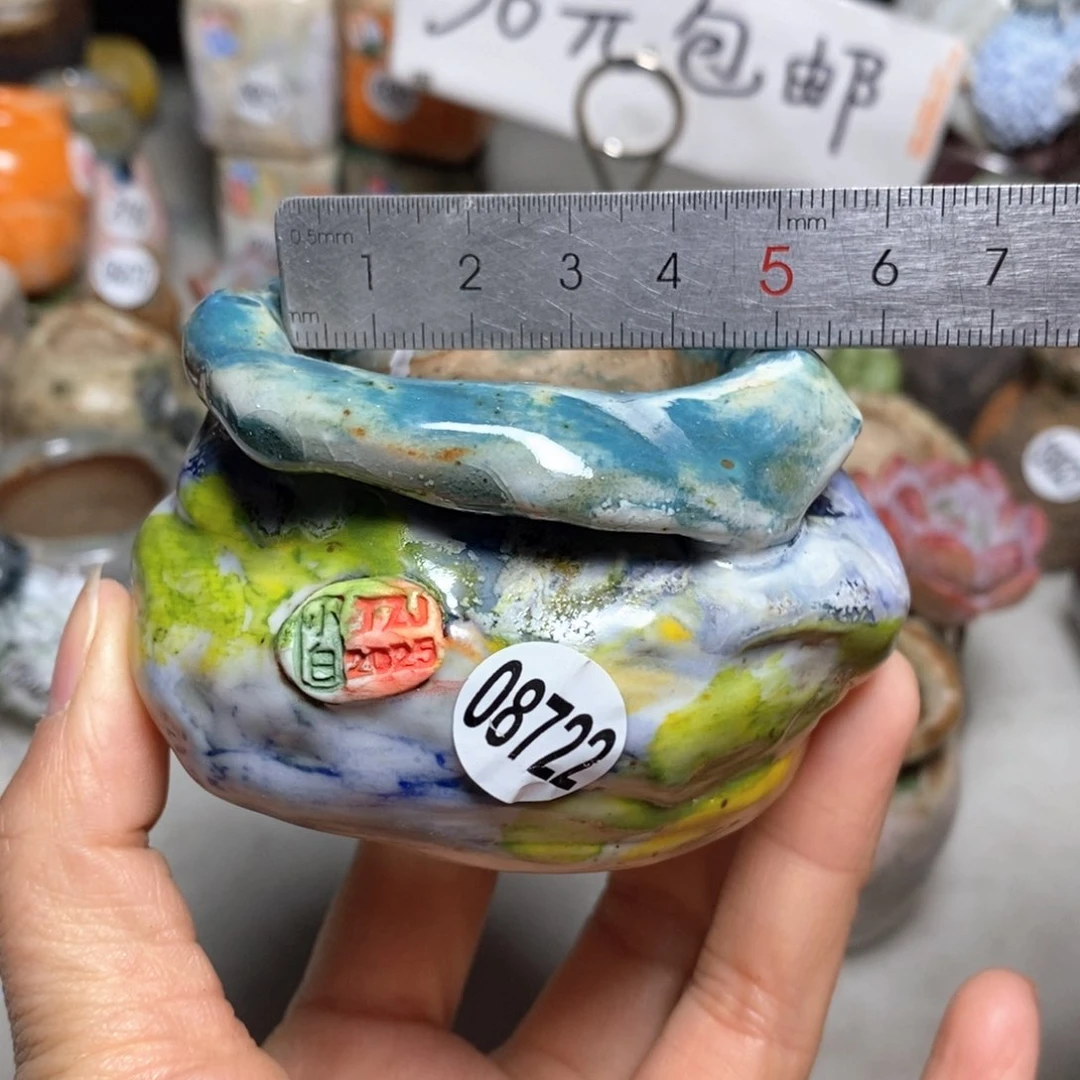 花盆拍3送一个小礼物