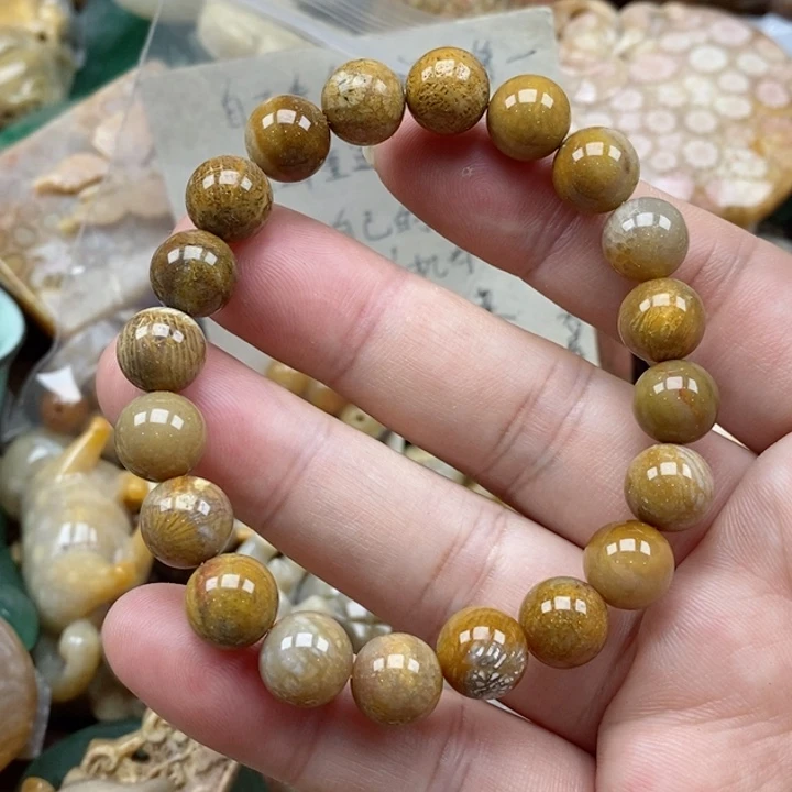 硅化珊瑚（珊瑚玉）未镶嵌颈饰