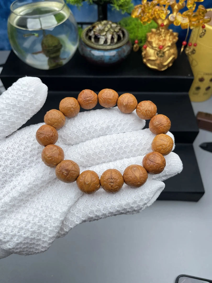 精品凤眼菩提