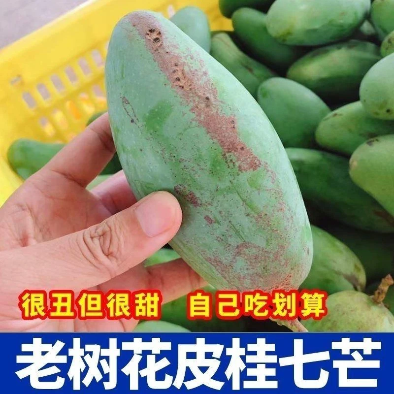 正宗广西百色桂七芒果新鲜现摘现发核薄肉厚爆甜多汁水果