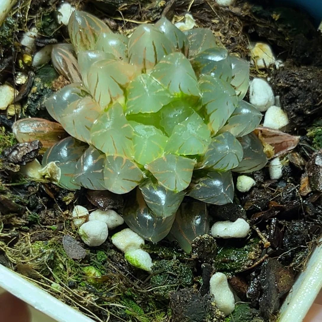 恭喜发财大吉大利0426