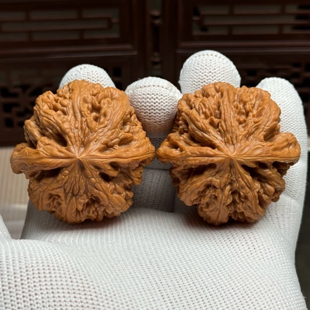 精选大粗筋狮子头，边46肚46高39，圆润饱满，手感好克重足，一物一图