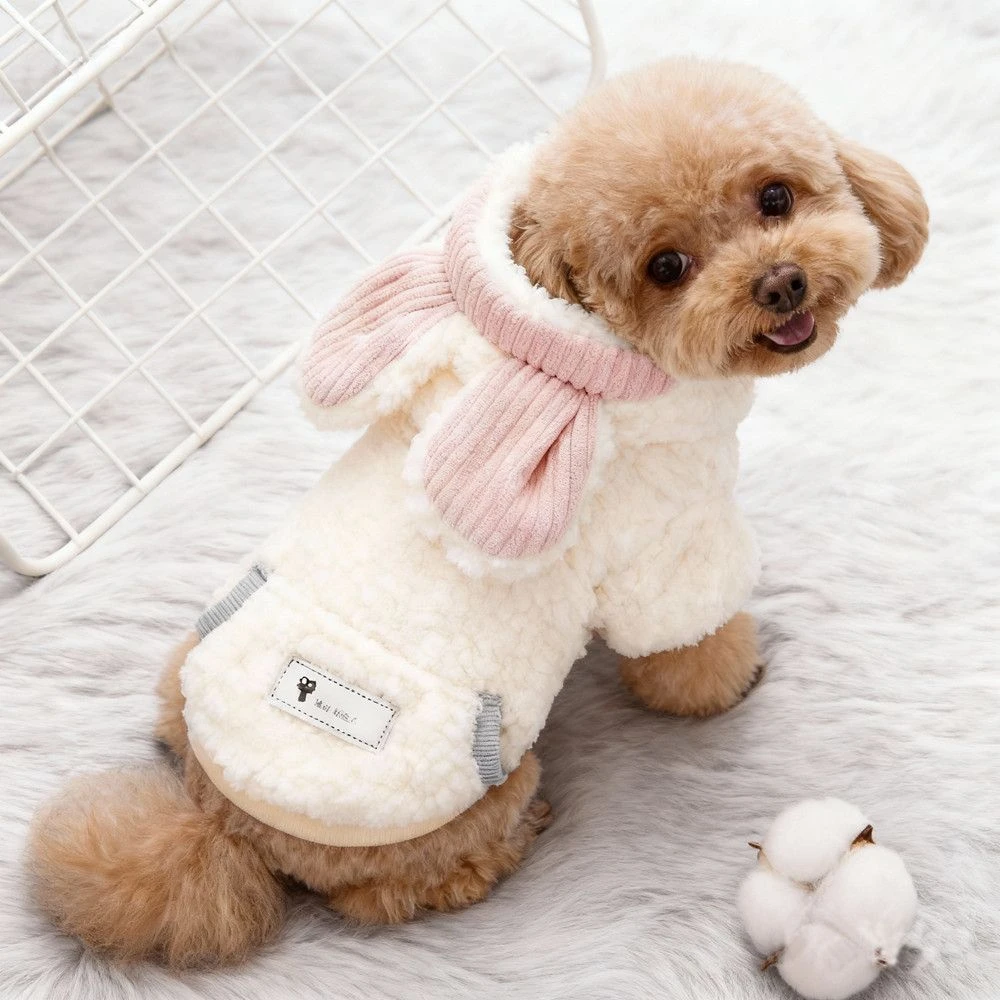 两脚狗狗衣服猫咪服饰小型宠物冬天泰迪冬衣保暖可爱背心秋冬