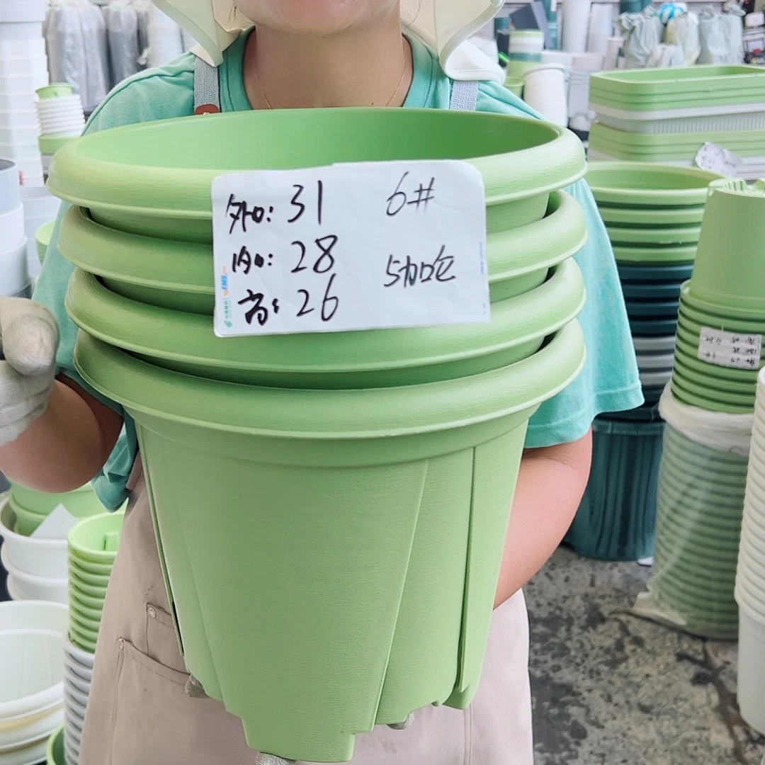 青山盆6#果绿色5个无托