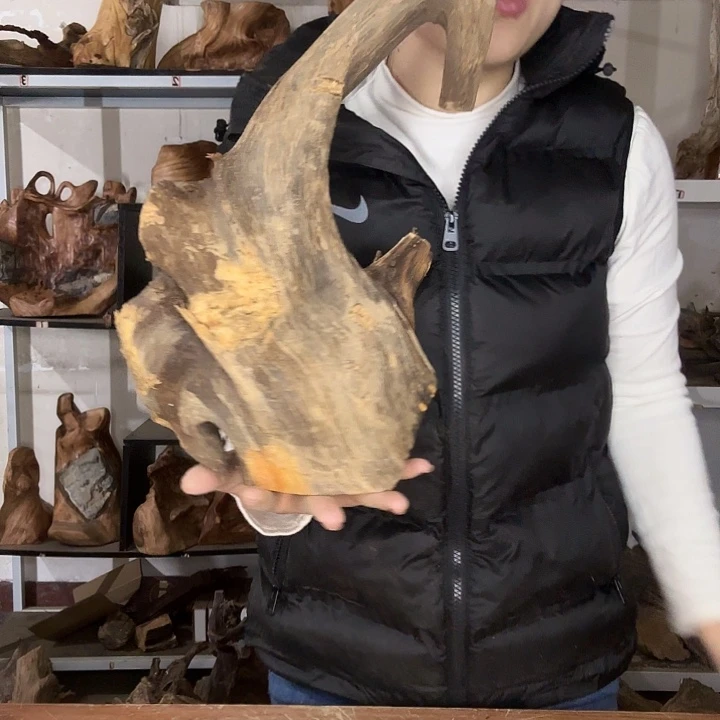 S***t木太行崖柏材料材料