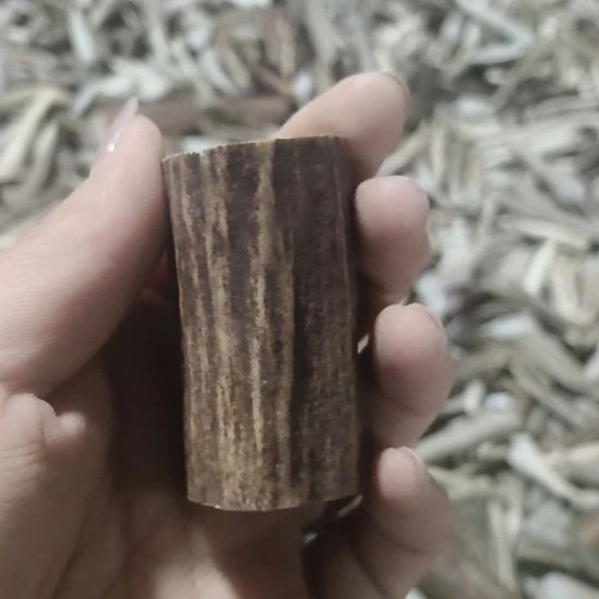 鸿***1陶瓷鹿角鹿角鹿角鹿角鹿角鹿角