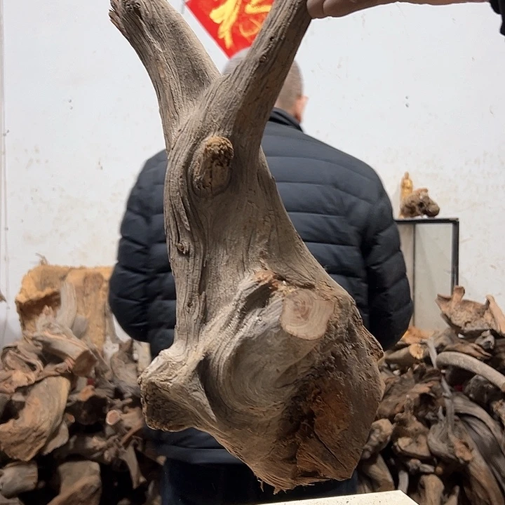 柏木盯*喵我们的生活也会越来越