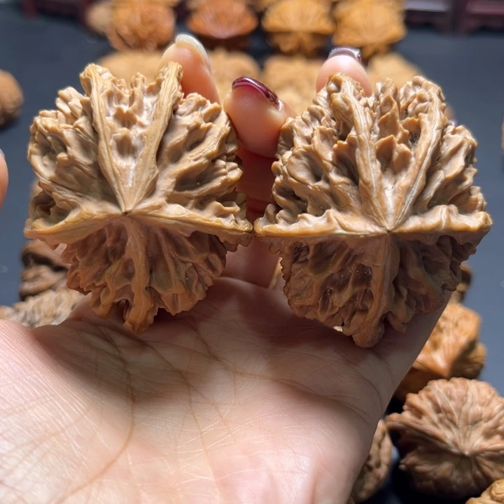 帝王狮子头五棱核桃哈哈哈哈哈