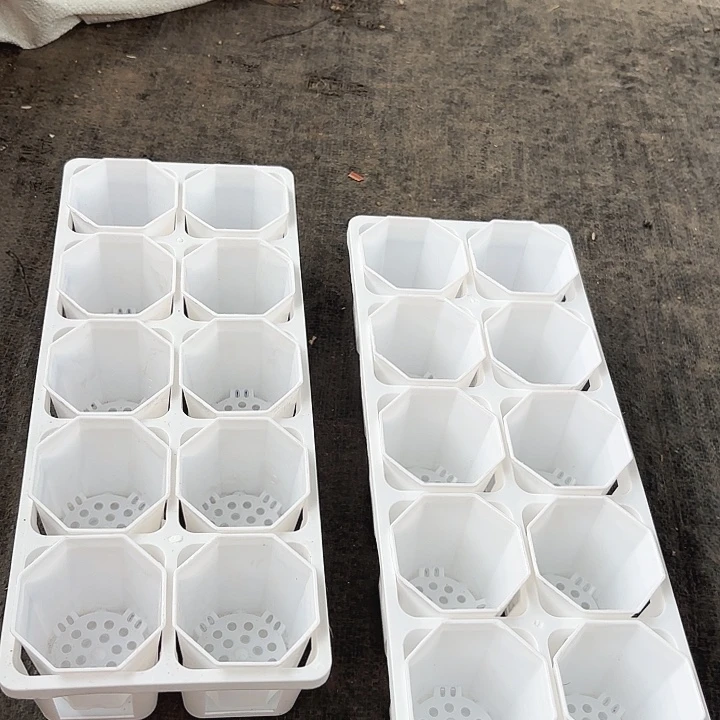 7公分八角盆20个含托架