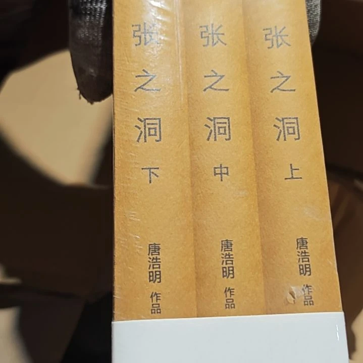 张之洞三本一套精装库存书
