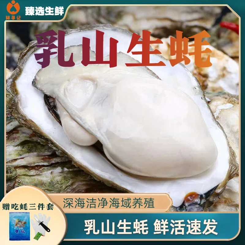 【到手7斤正宗金标乳山生蚝】黄金4-6两 买5斤送2斤 共7斤鲜活海鲜