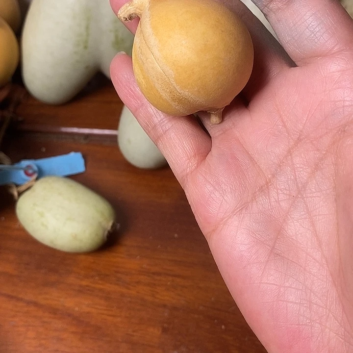 路***～腰子葫芦手把件腰子摆件