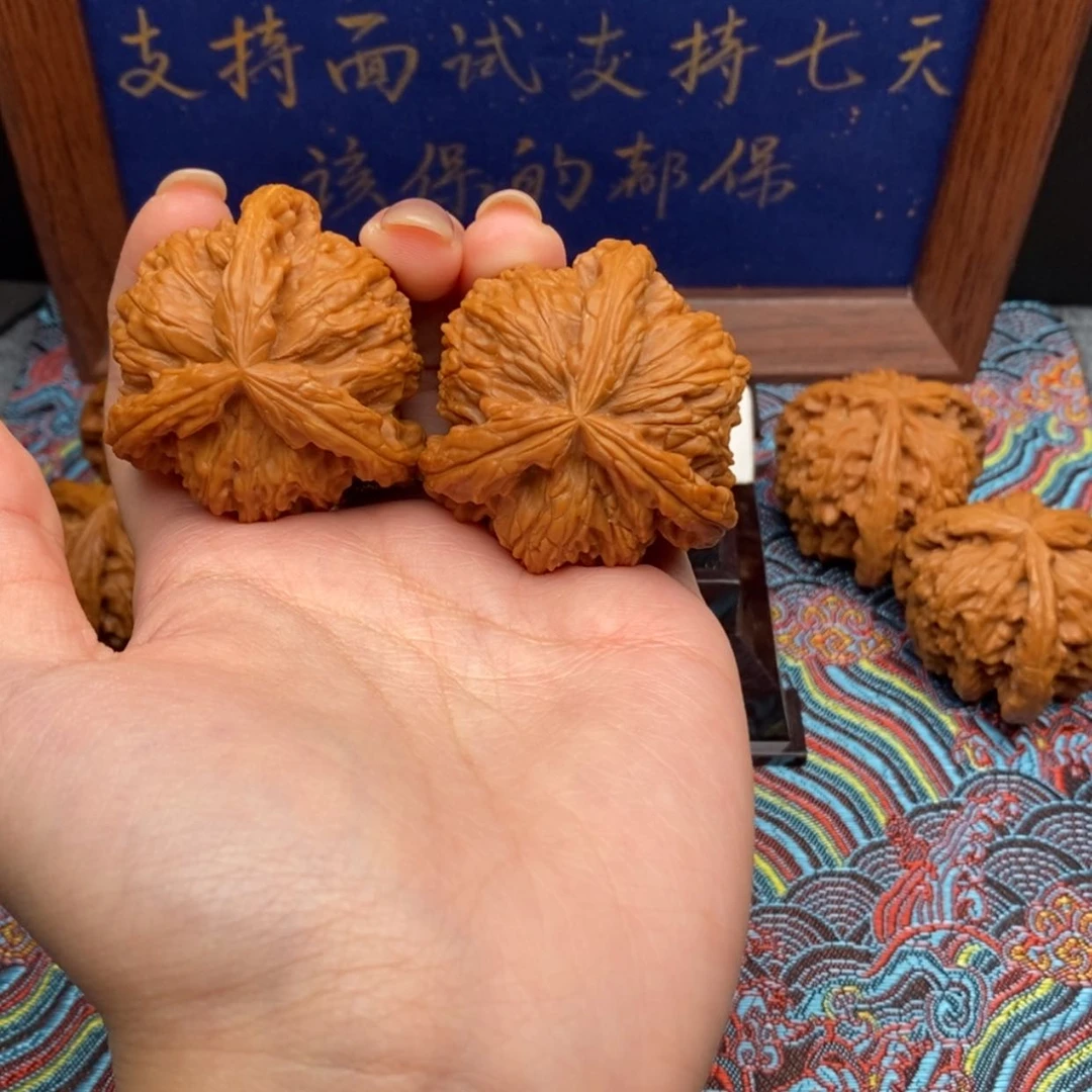 【闪购商品】白狮子