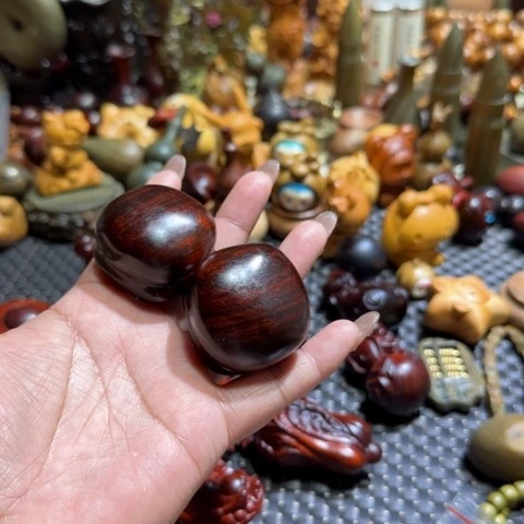 维腊木（绿檀）飞*