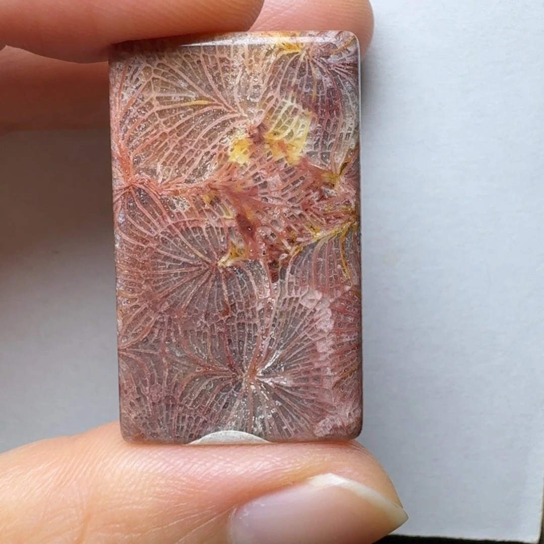 硅化玉紫红凤尾未镶嵌