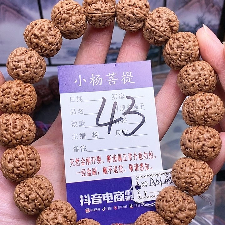 手串金刚菩提21扇面双龙