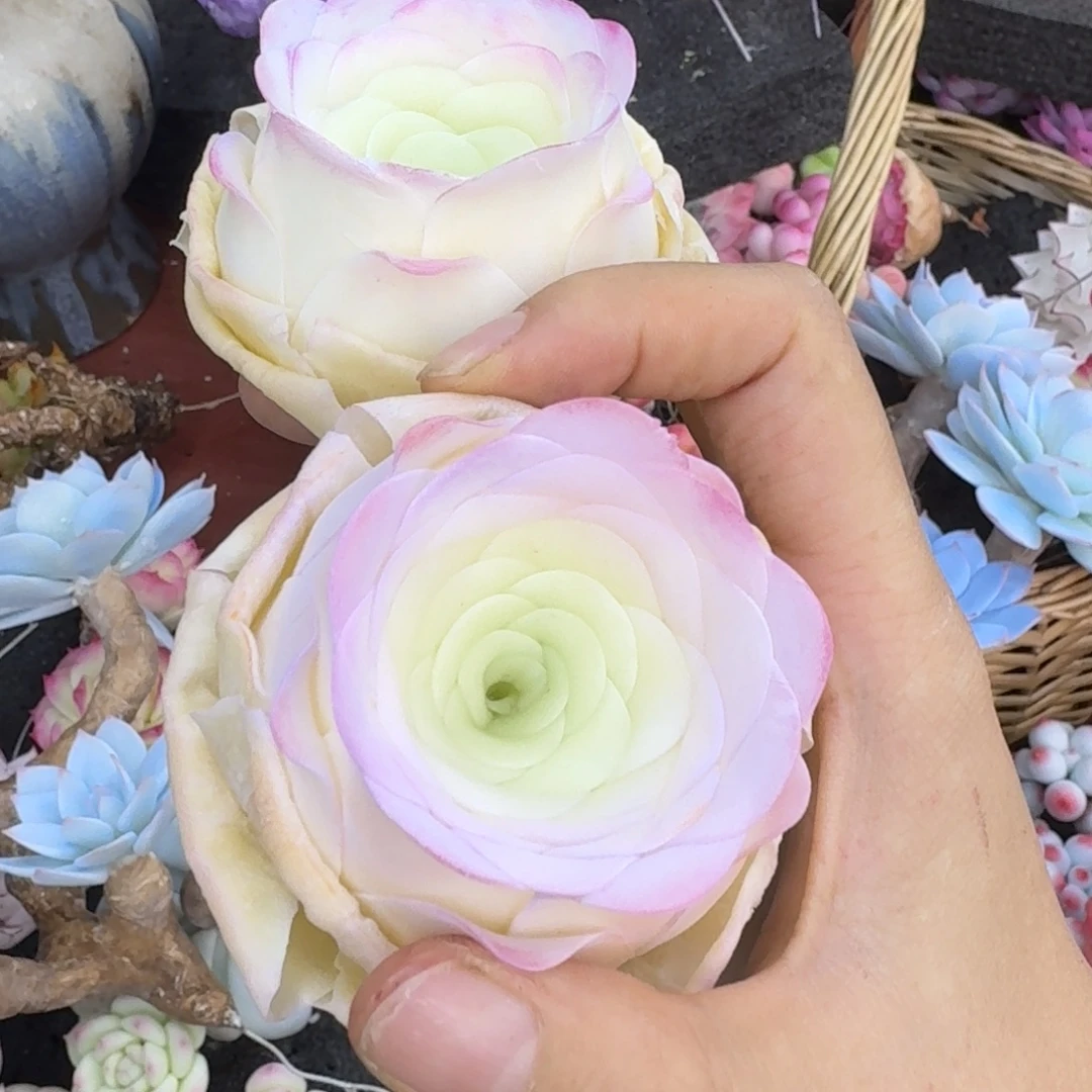 树脂339号2个哦哦哦哦哦哦哦