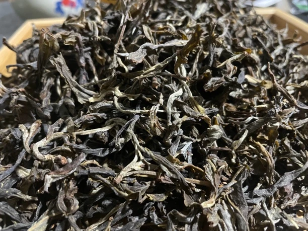 【宠粉福利】2023年春冰岛老寨后山古树生茶散茶200克