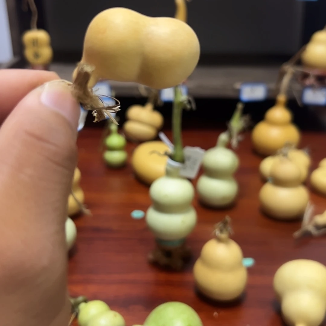 草***奶葫芦八宝葫芦下架直播