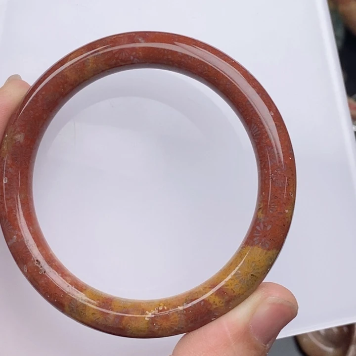 豆***鱼硅化玉未镶嵌项圈