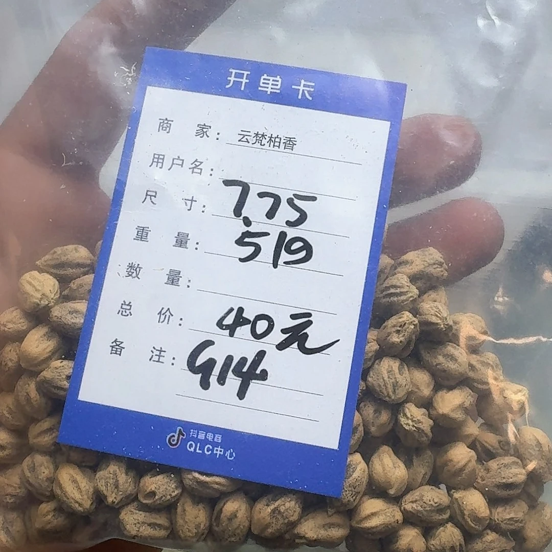柏香籽/百香籽吊坠大*