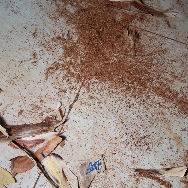 日***部木海南，海北飞灰尘。甘受商于仪诳楚