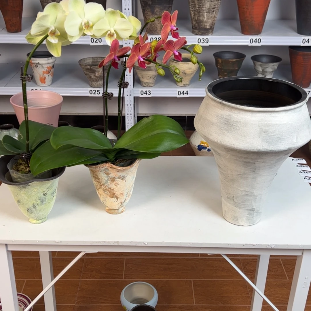 星***。3个景德镇手工花盆