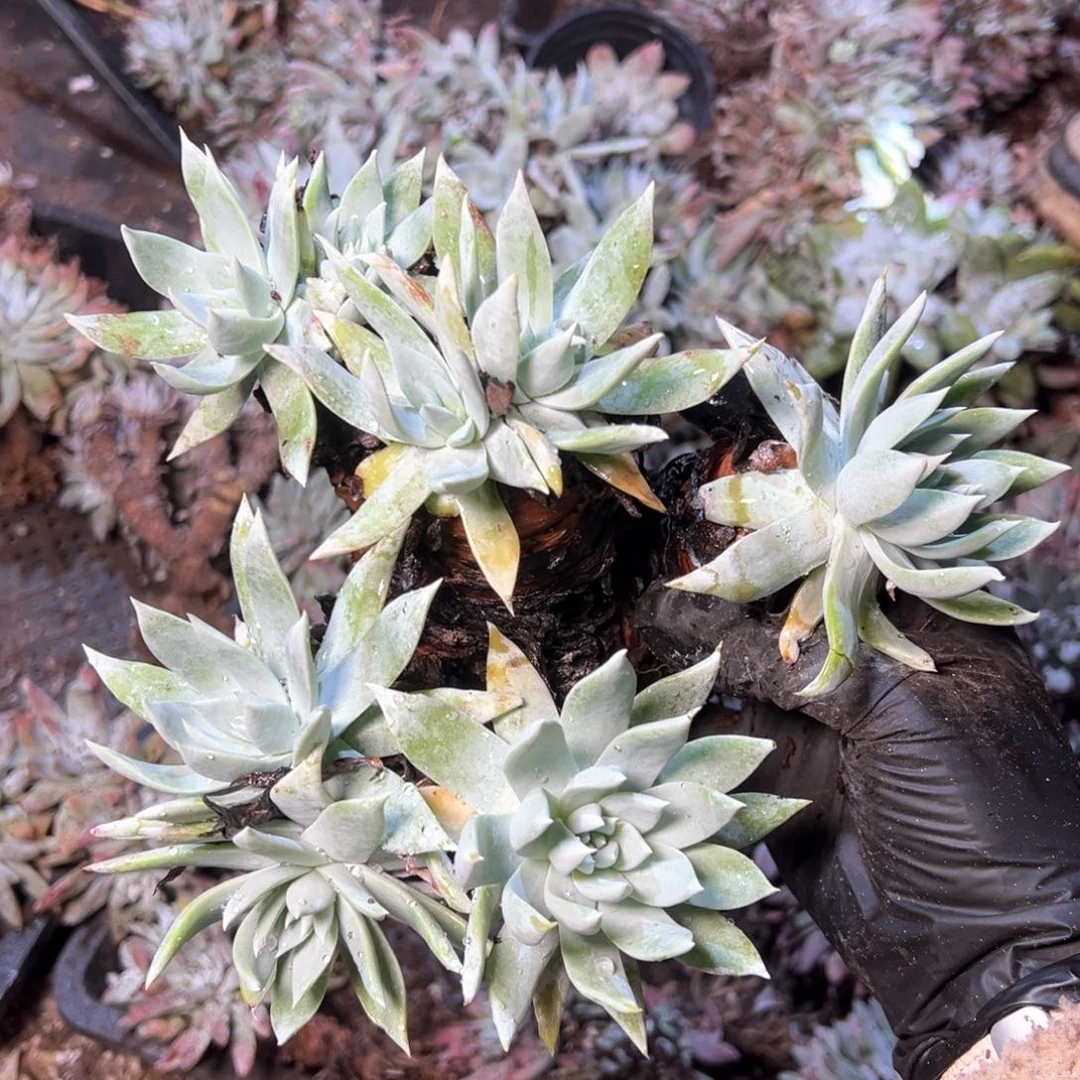 6788哈哈哈哈哈哈哈哈