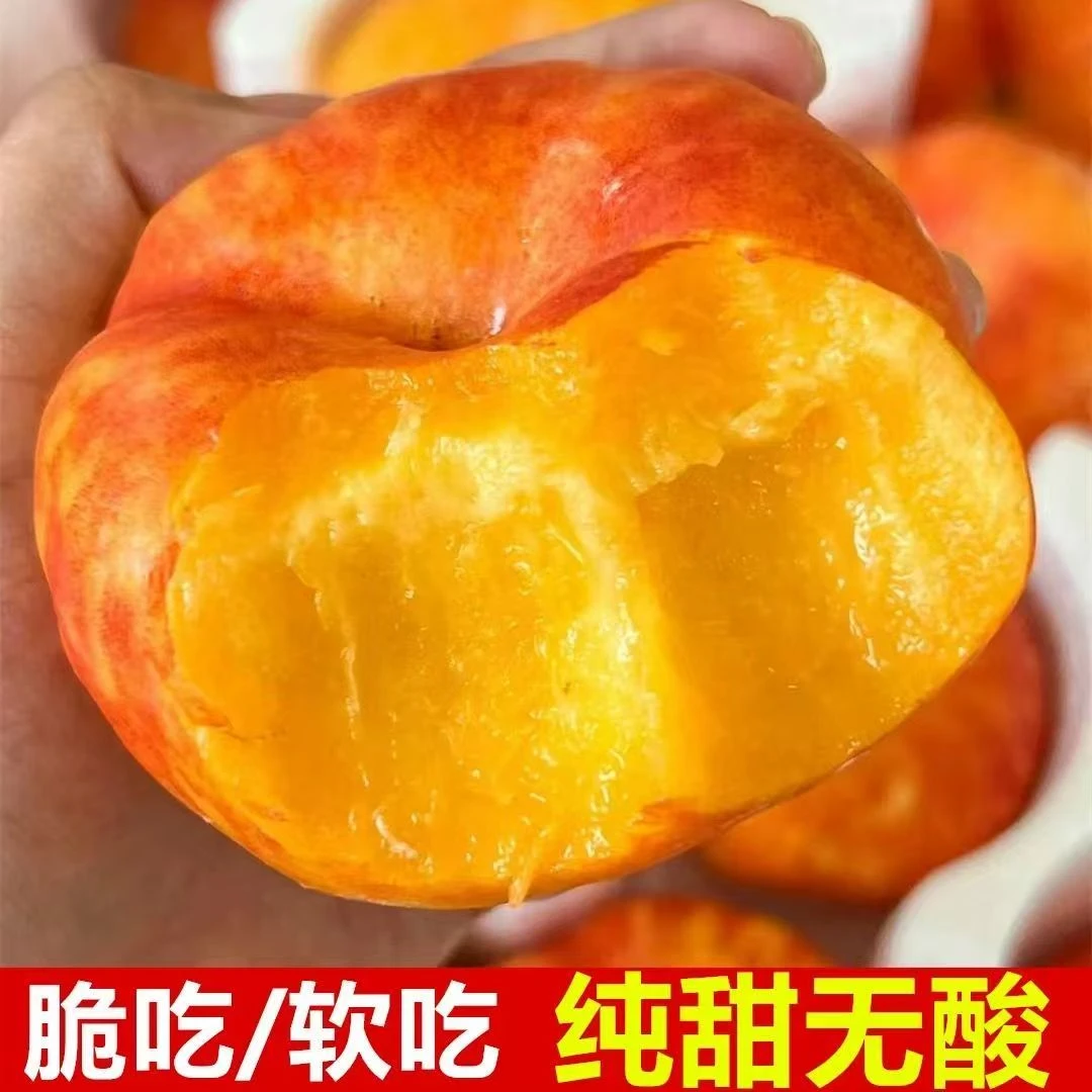 黄金油蟠桃新鲜水果香甜多汁当季整箱包邮当季新鲜水果开口笑