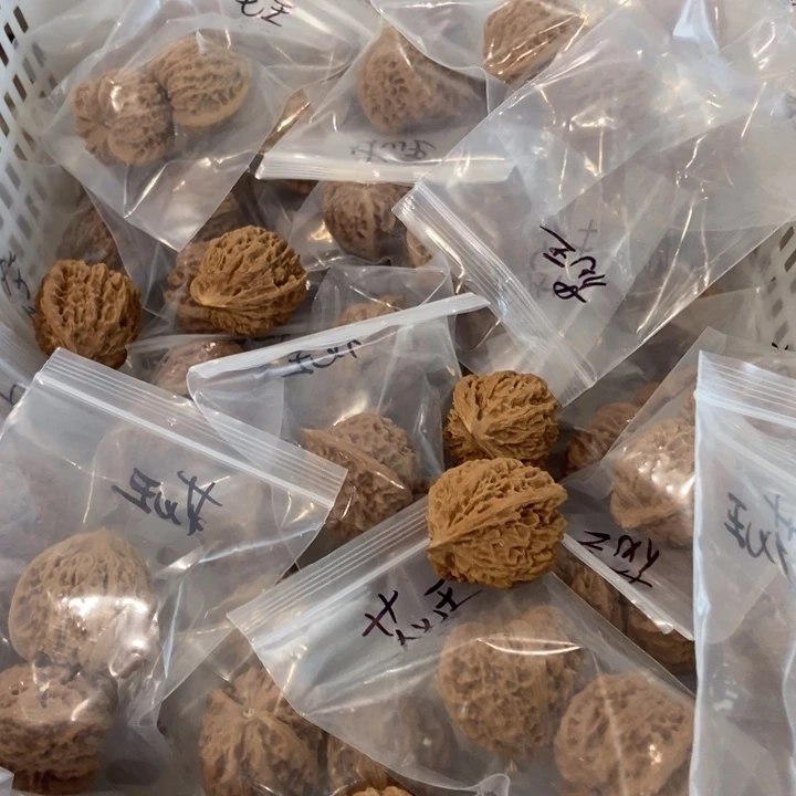 吊坠文玩核桃花王瑕疵