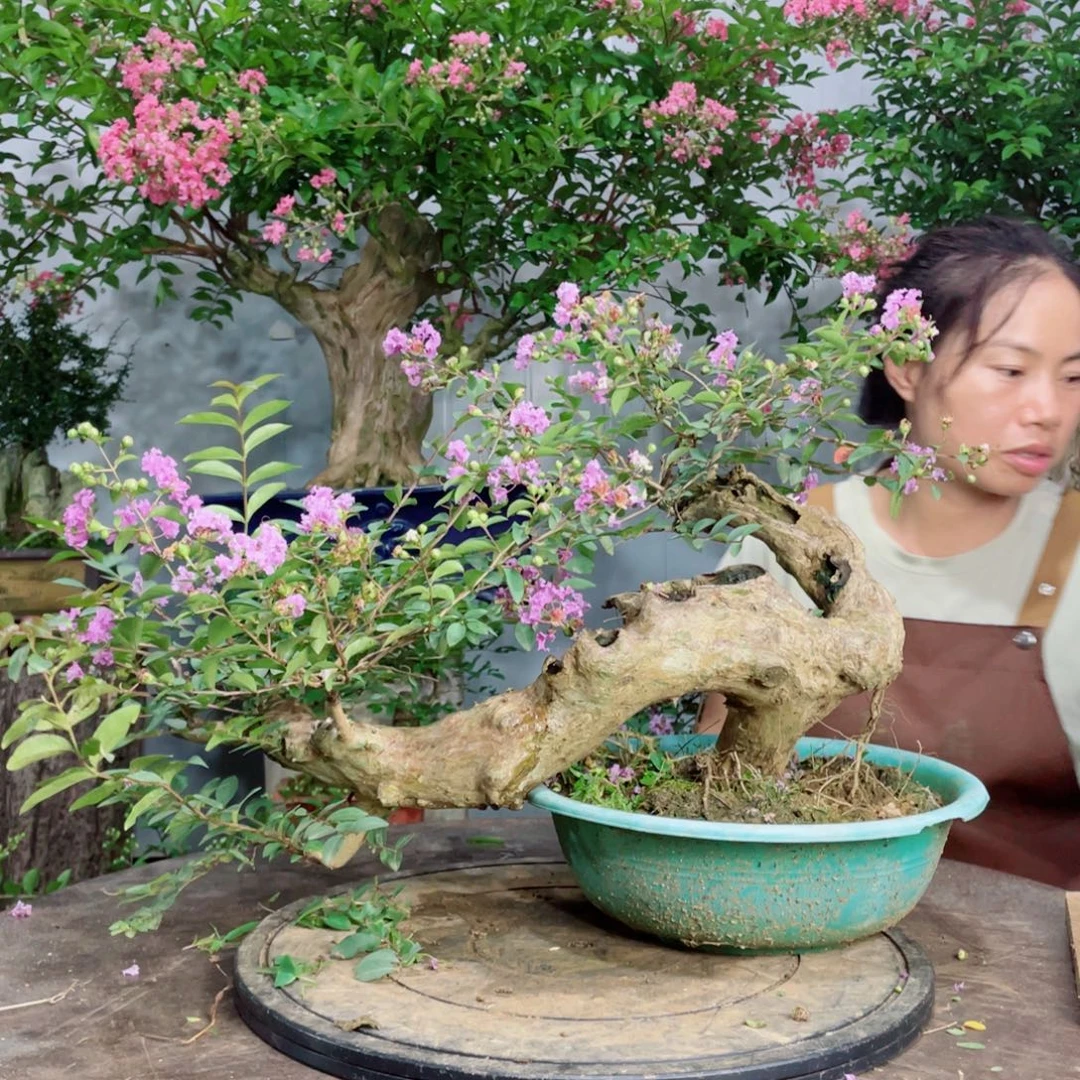 少量花朵（建议范围：2朵-5朵 或40%以下）