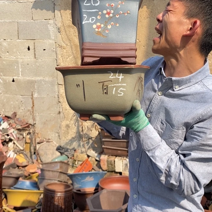 红陶这个世界上没有