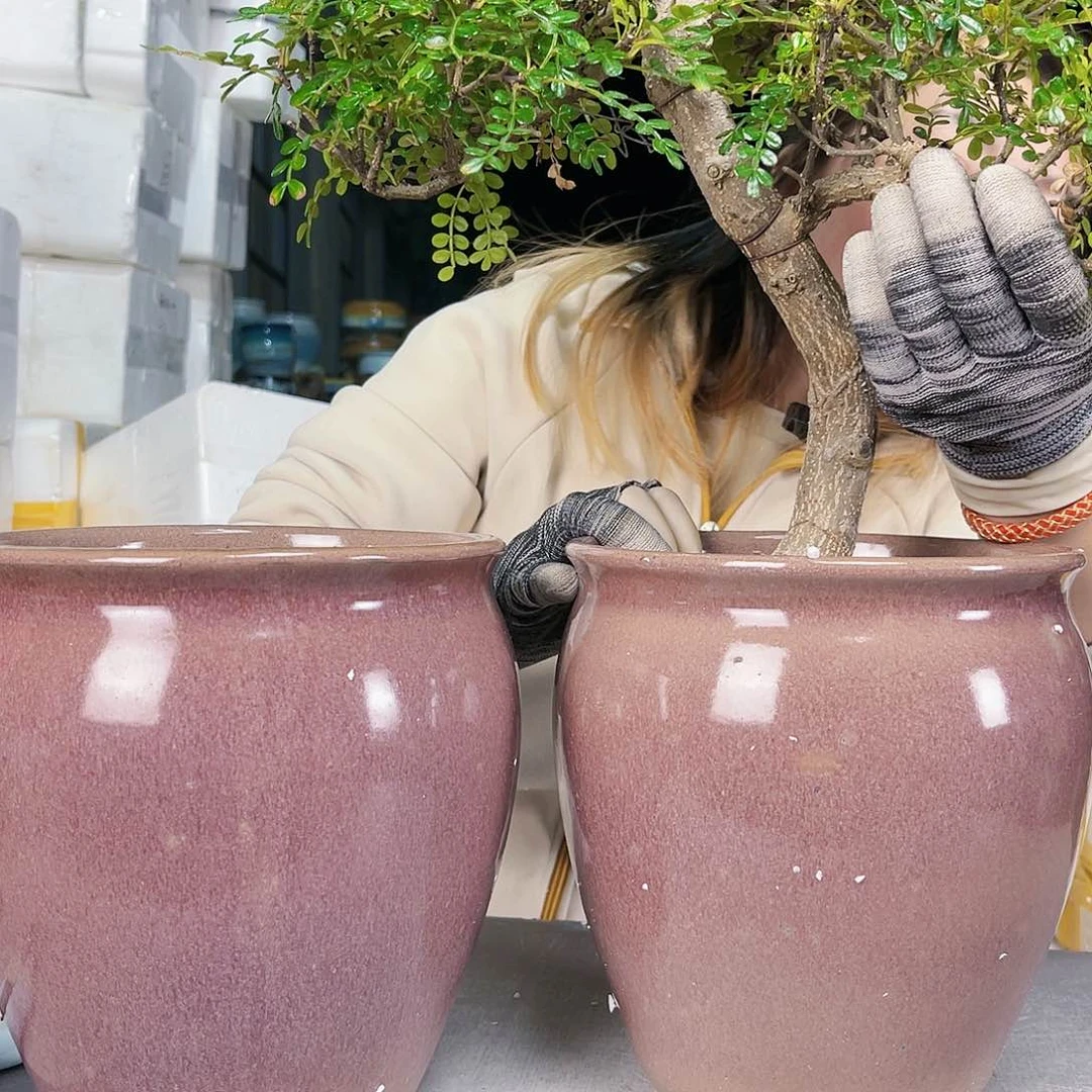 紫砂花盆王嫂花盆直播福利-b551