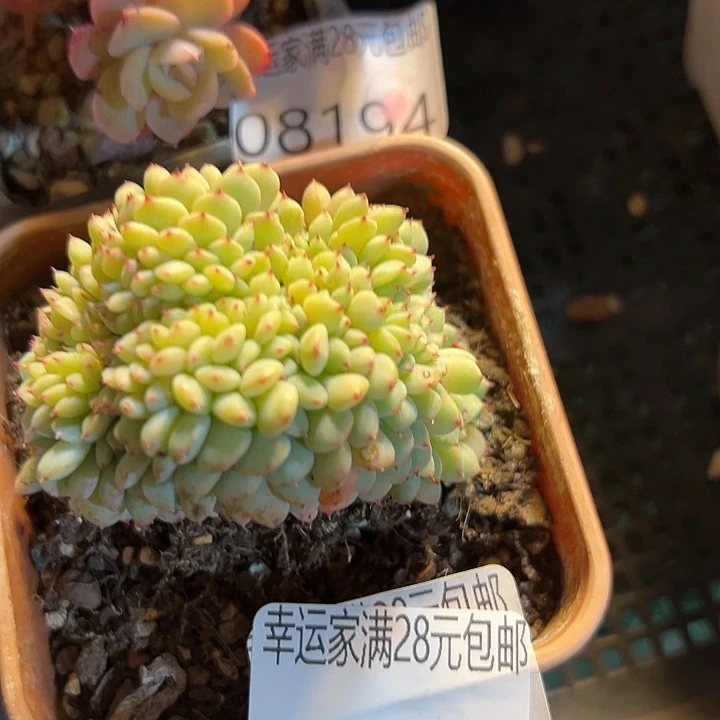幸运的是我还没遇到