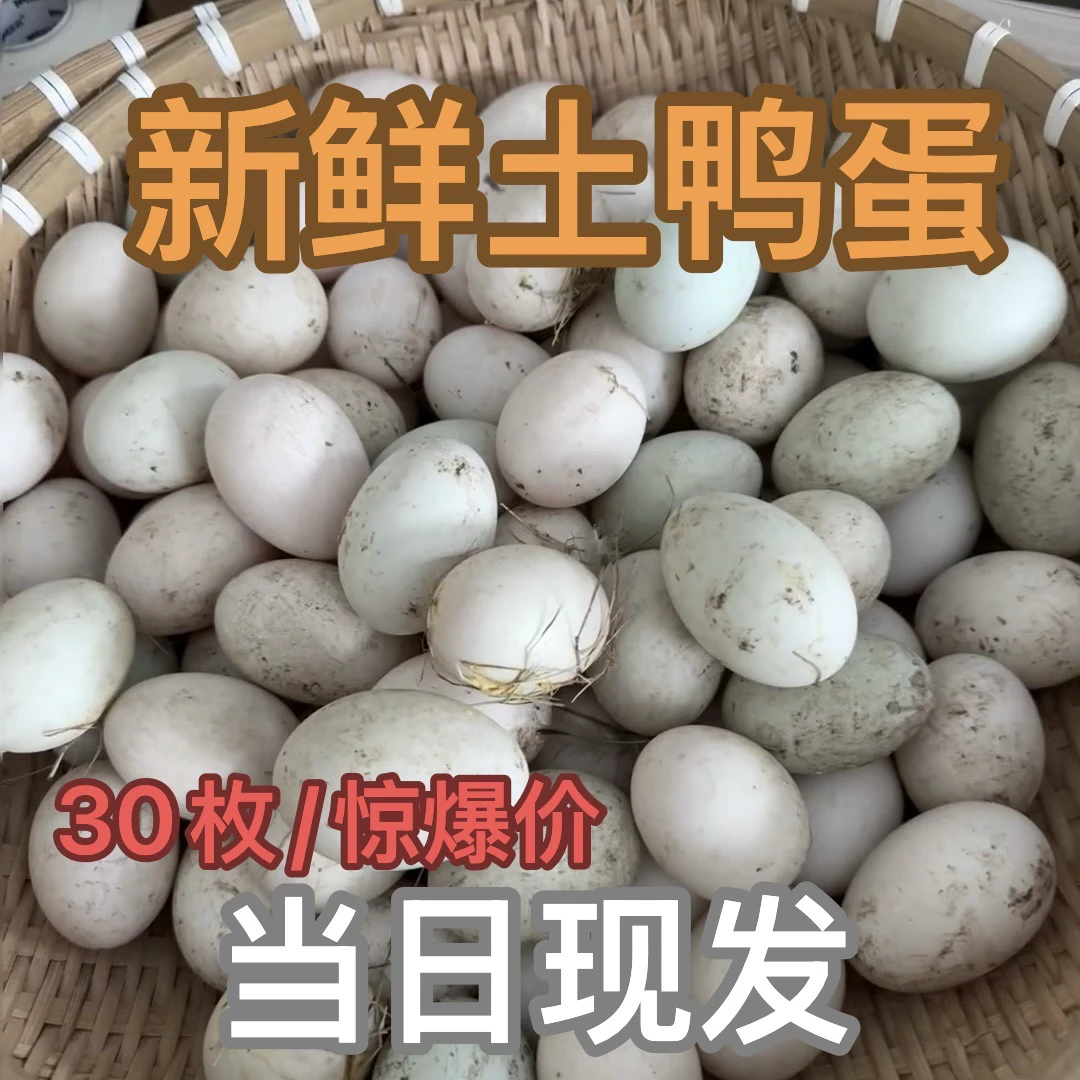 30枚正宗散养新鲜土鸭蛋