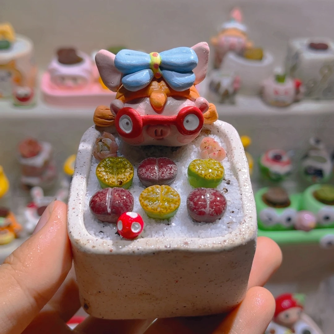 008高端多肉带盆土一套58