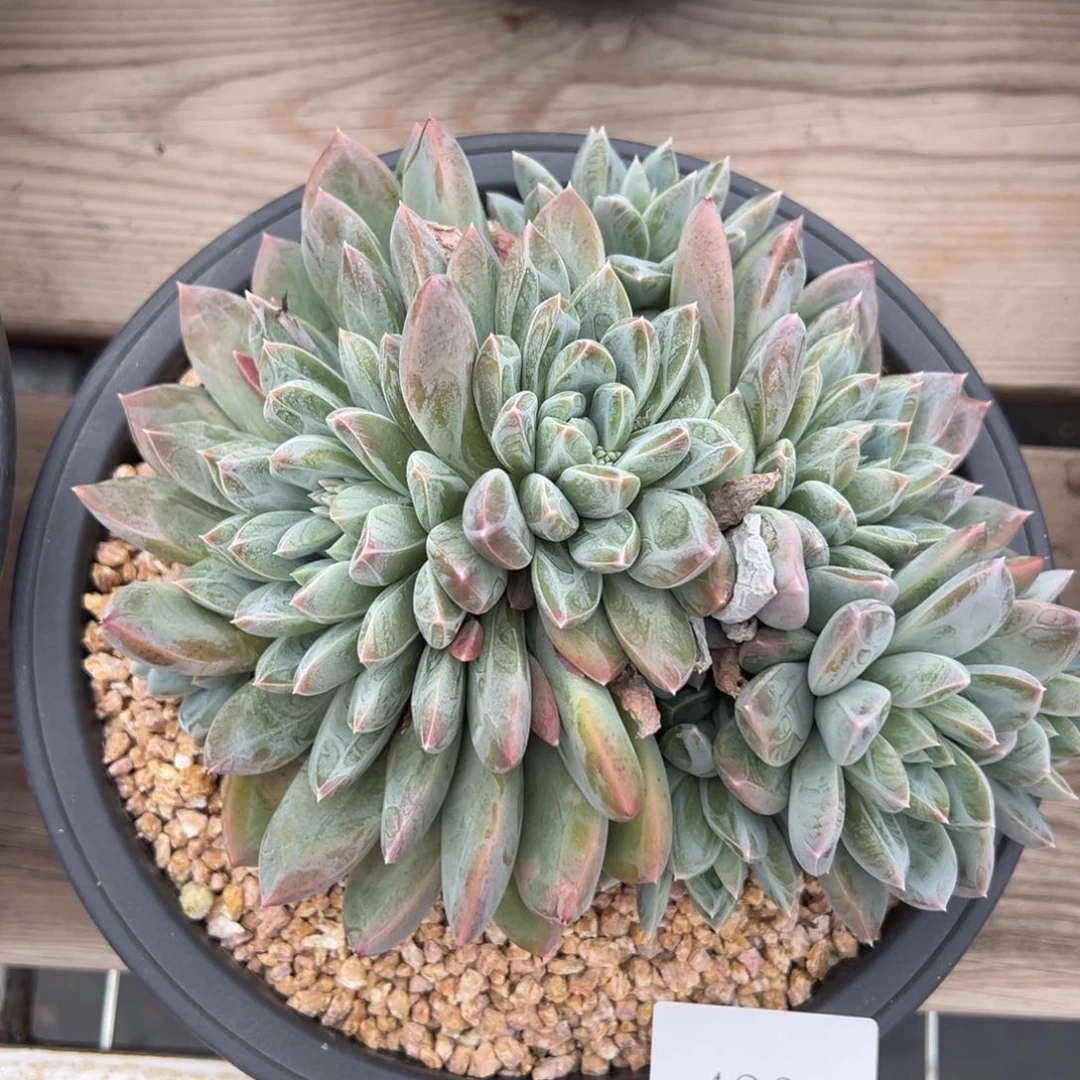 u****64399肉肉肉肉肉肉肉