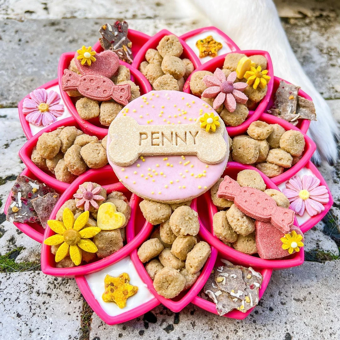 国产Sodapup丰荣碗猫狗慢食碗盆舔食盘垫缓食防噎助消化猫粮餐盘