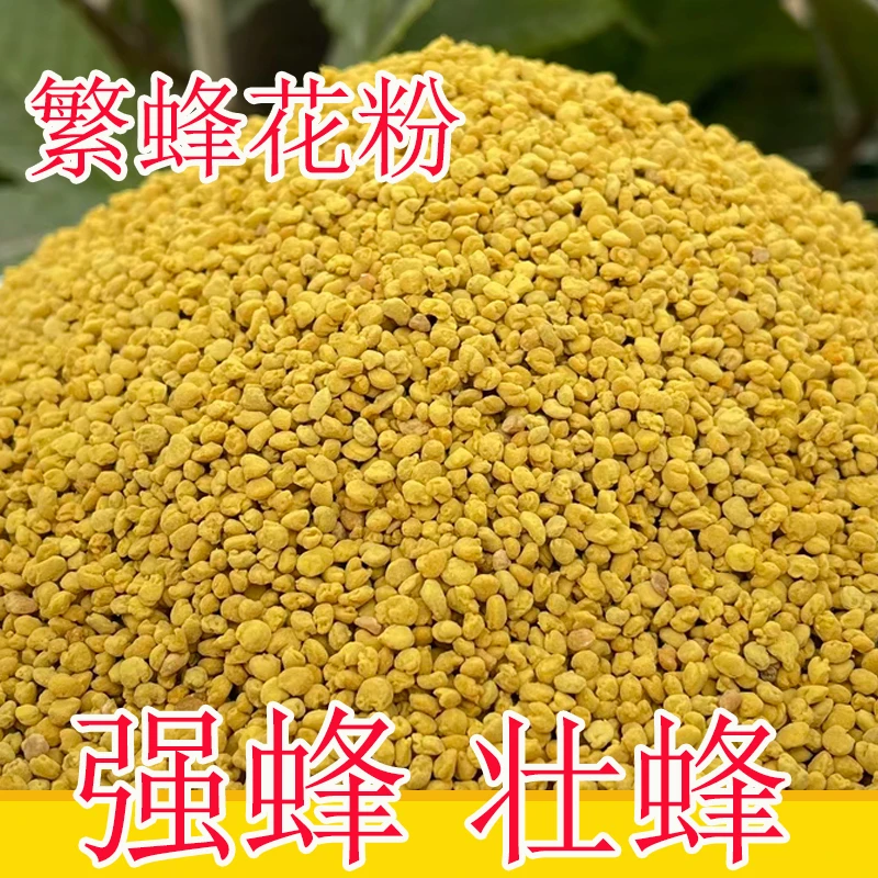 蜜蜂百花粉新鲜青海油菜花粉喂蜂专用中蜂度夏越冬口粮春繁饲料