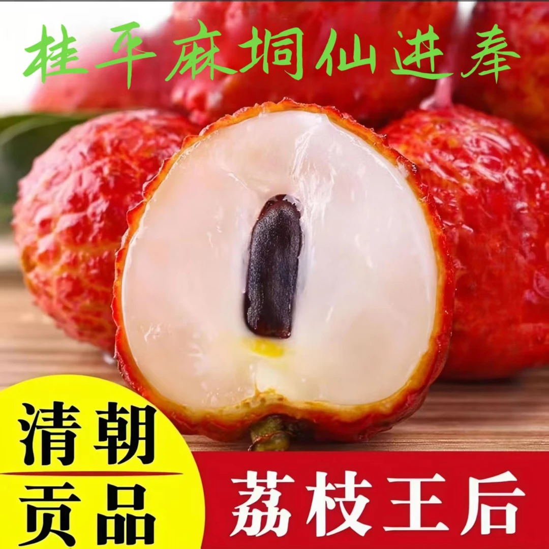 （中通冷链）广西桂平麻垌现摘荔枝仙进奉大果蜜香新鲜水果