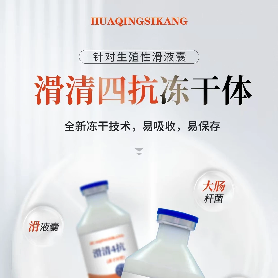 鸡生殖性滑液囊支原体防治一体冻干粉牲畜用品养鸡必备正品防冻