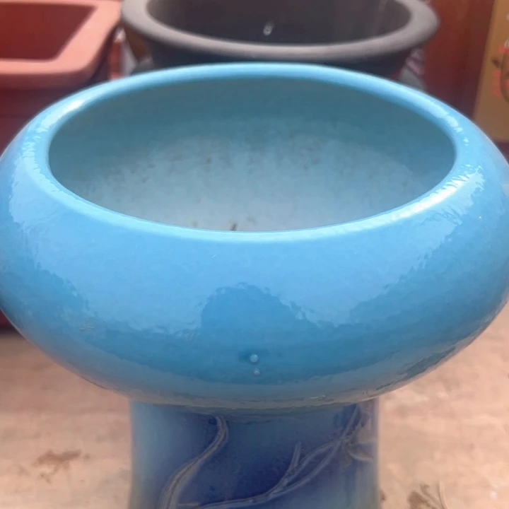 红陶绿植盆口16微瑕