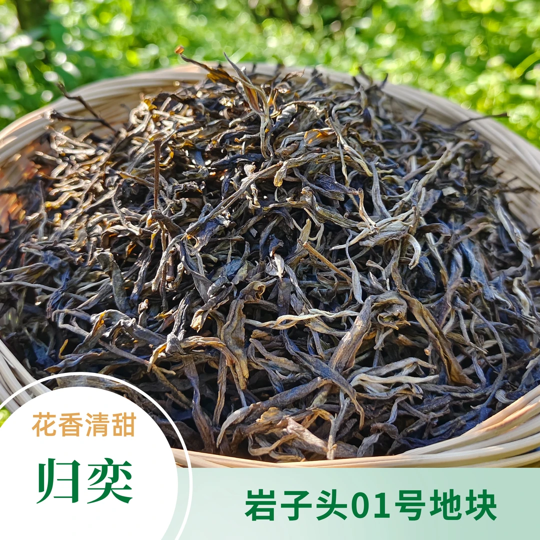 【归奕】2025年岩子头01号地块古树春茶生茶散茶袋装 花香清甜