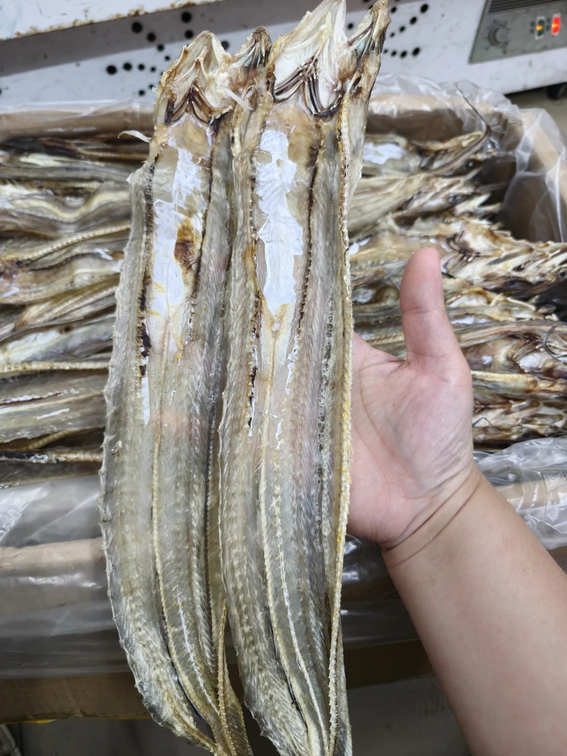 汕尾本港双杆麻鱼干 粗条  淡口足干 新鲜 炒芹菜蒜好吃