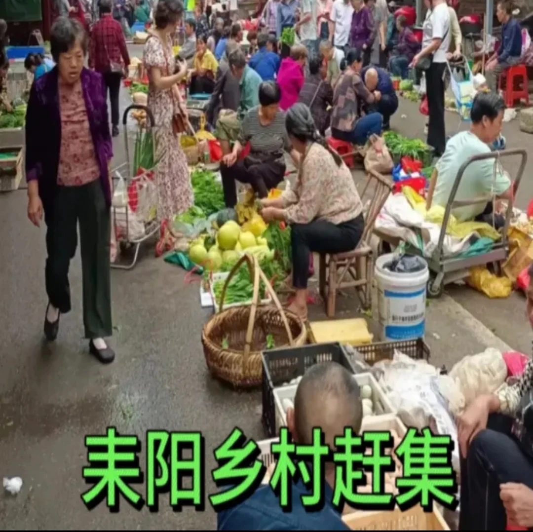 湖南耒阳农家自种新鲜瓜果蔬菜