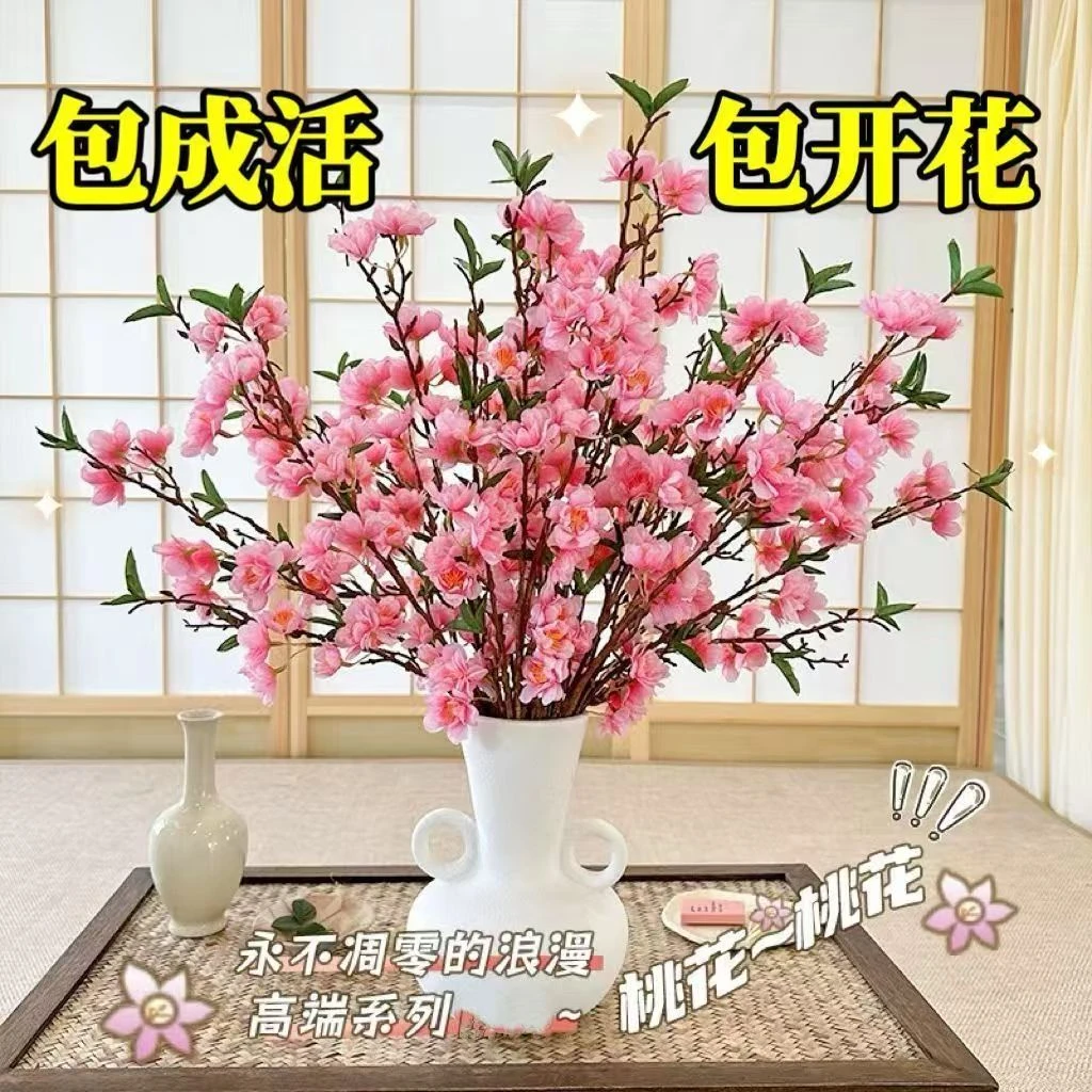 水培桃花枝真桃花新鲜桃枝干支花卉年宵花遇水开花【带花苞发货】