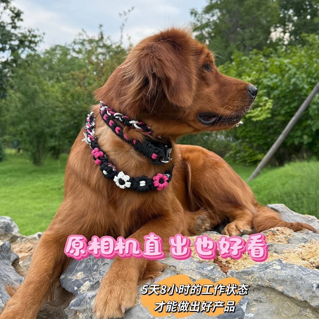 狗猫混线牵引绳绳编挂钩搭配主人时装时尚个性纯手工撞色回头率高