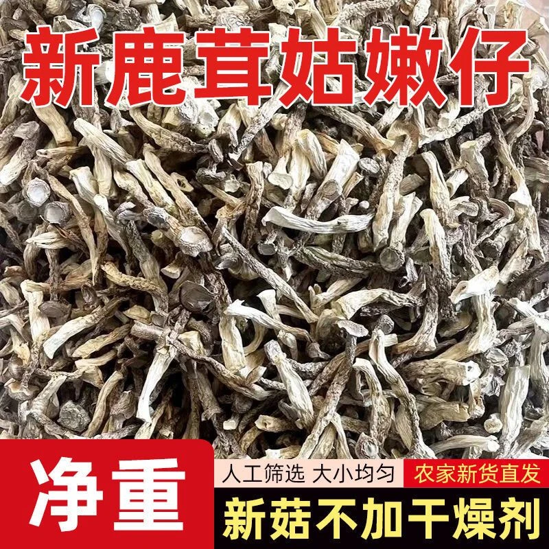 高山鹿茸菇嫩仔干货无熏硫自然晾晒风干而成煲汤炒菜食用菌干锅